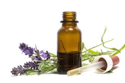Dosage plantes chien
