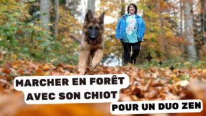 Marcher en foret
