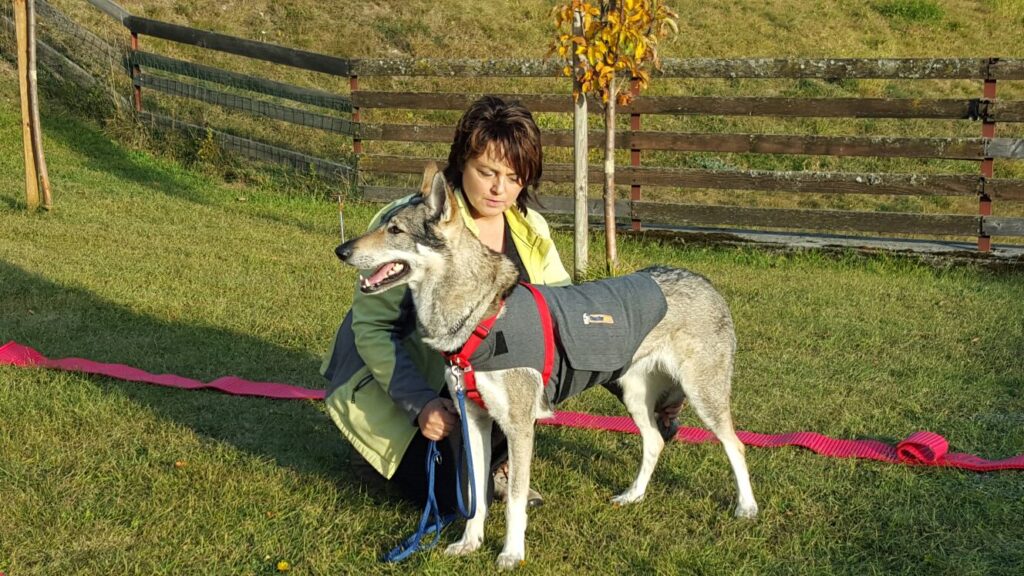 Ici avec ma chienne Eshe, Chien Loup de Tschécoslovaquie