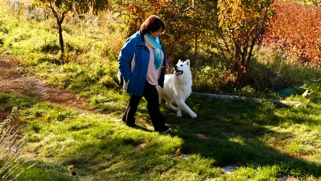 Ici avec ma jeune chienne Vanda, Berger Blanc Suisse